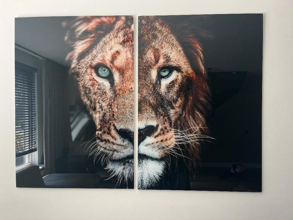 Schilderij, Ophalen, 125 cm of meer, Zo goed als nieuw, Schilderij