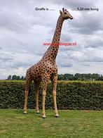 Giraffe ware grote  tot kleinere modellen, Ophalen of Verzenden, Nieuw, Kunststof, Dierenbeeld