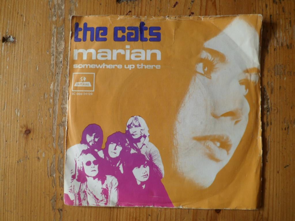 Cats, Ophalen of Verzenden, Gebruikt, Pop