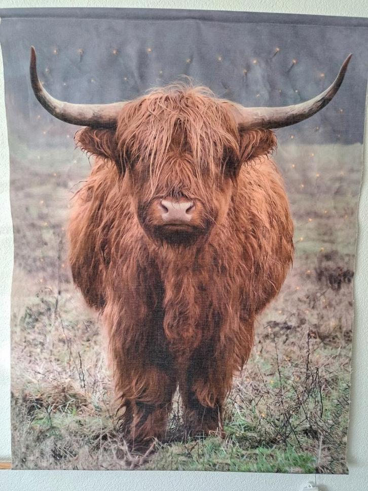 Wandkleed Schotse Hooglander - Sfeervolle Decoratie, Huis en Inrichting, Woonaccessoires | Wanddecoraties, Zo goed als nieuw, Ophalen of Verzenden