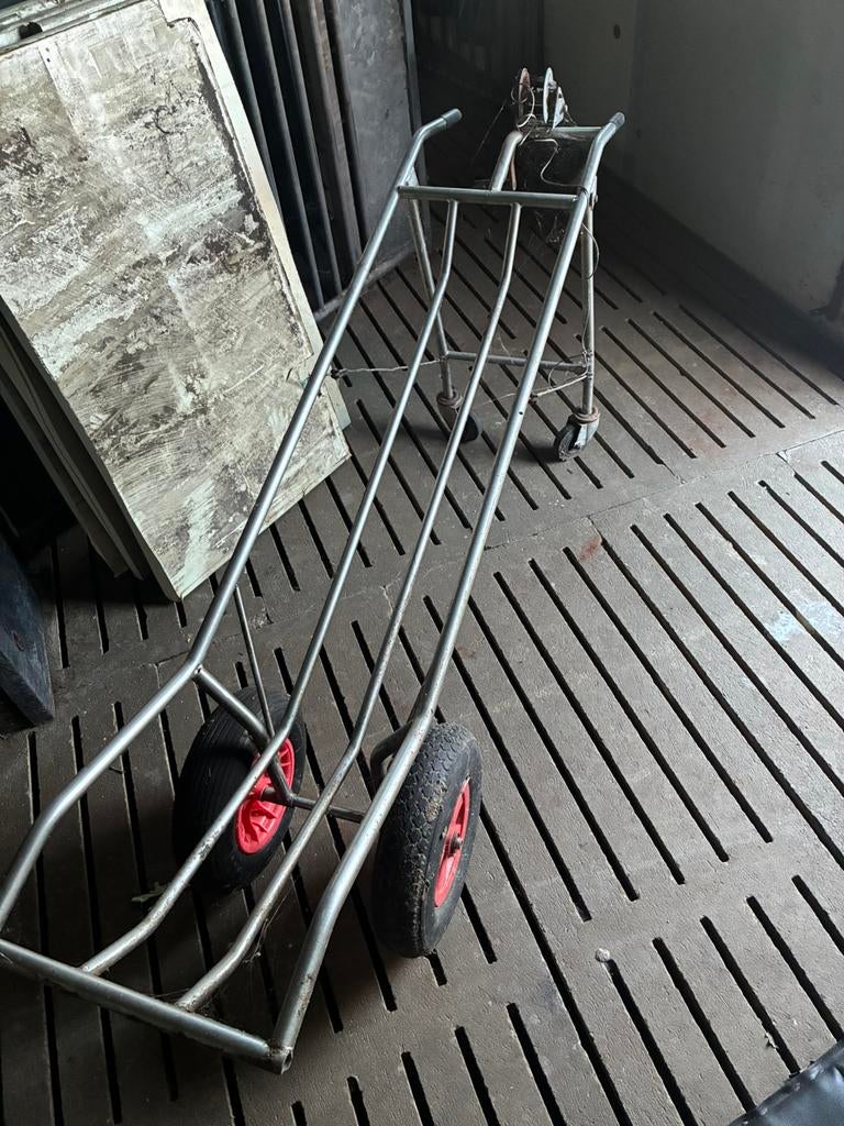 Kadarkar, Mannelijk, Schaap