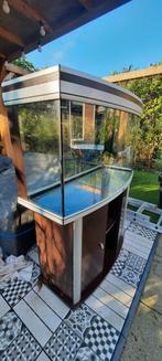 175 liter aquarium inclusief belichting en adapters., Ophalen, Leeg aquarium