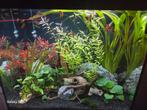 Juwel lido.200, Ophalen of Verzenden, Zo goed als nieuw, Gevuld zoetwateraquarium