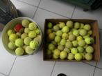 Heel veel TENNISBALLEN, Overige merken, Gebruikt, Ballen, L00