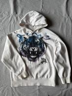 Pakket 11x jongens 140/146 sweater jeans Vingino C&A enz, Ophalen of Verzenden, Zo goed als nieuw, Maat 146