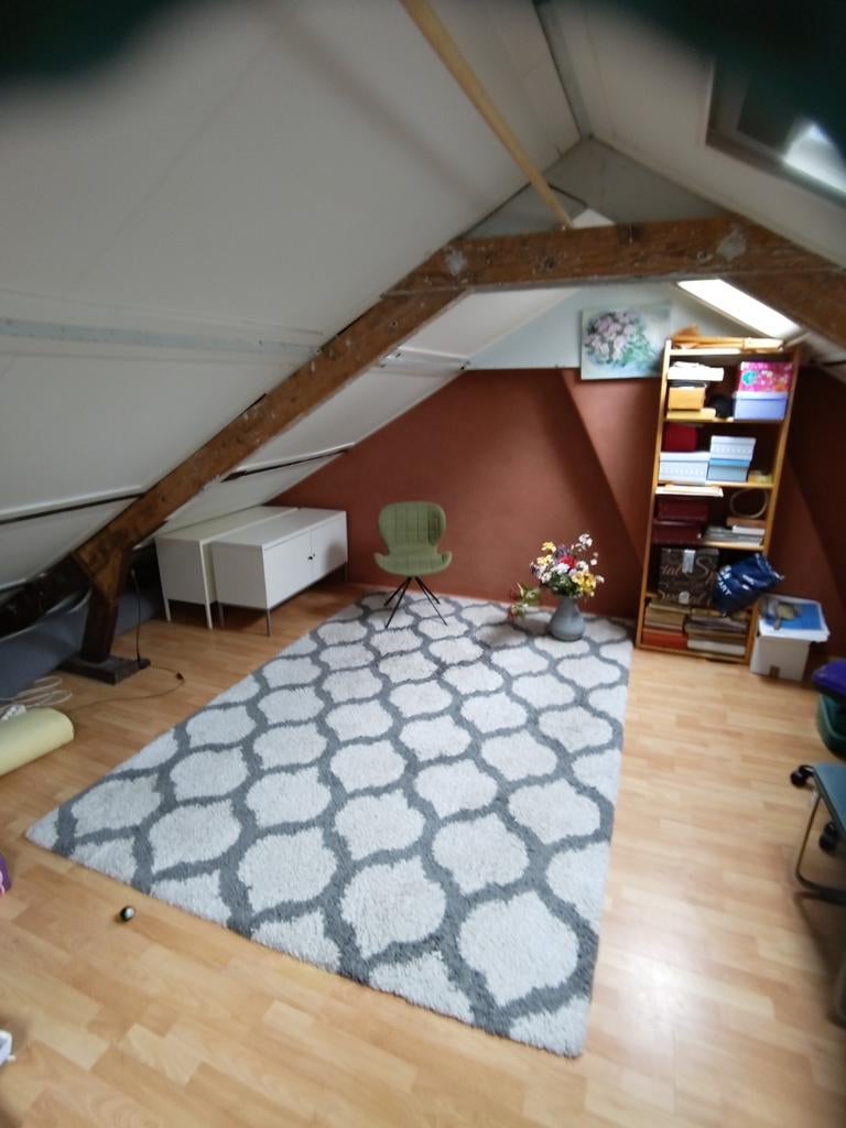 Hoogpolig vloerkleed, 2x3 meter, gebroken wit met grijs, Ophalen