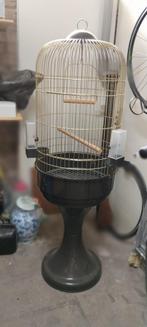 Vogelkooi/ papagaaikooi, Dieren en Toebehoren, Ophalen of Verzenden, Zo goed als nieuw, Metaal, Vogelkooi