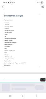 Surinaamse plantjes te koop - Diverse soorten, Ophalen