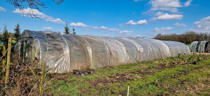 Gebruikte tunnelkas met aluminium schuifdeuren (22x6m), Tuin en Terras, Kassen, Gebruikt, Kweekkas, Aluminium, Folie, Ophalen