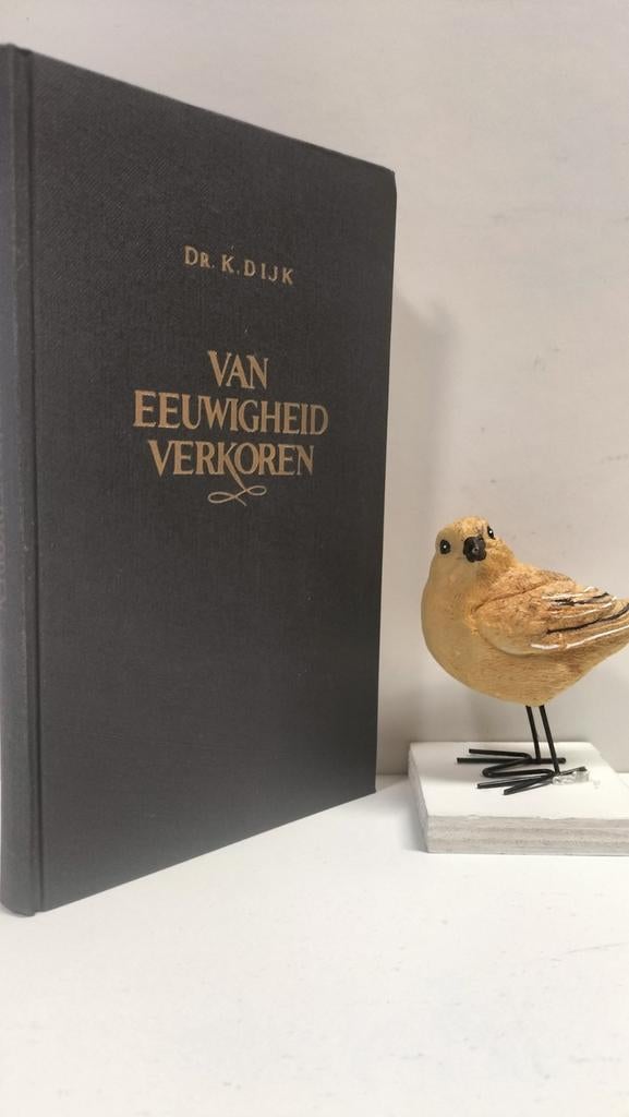 Dijk, Dr. K.; Van eeuwigheid verkoren, Boeken, Ophalen of Verzenden, Gelezen, Christendom | Protestants