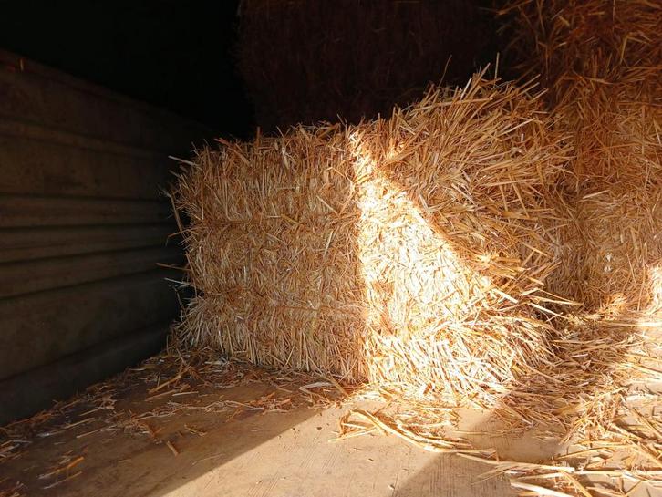 stro kleine balen, Dieren en Toebehoren, Dierenvoeding, Overige soorten, Ophalen of Verzenden