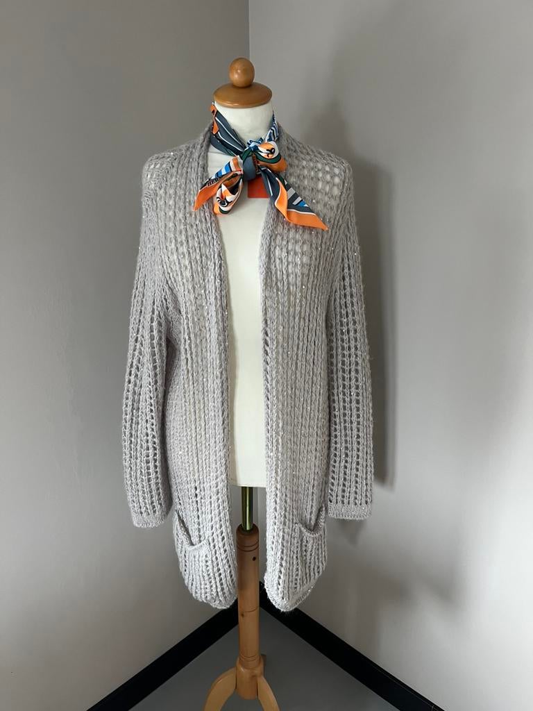 Nieuwstaat! Luisa Cerano zilvergrijs vest grijs 38 40, Kleding | Dames, Truien en Vesten, Ophalen of Verzenden, Zo goed als nieuw