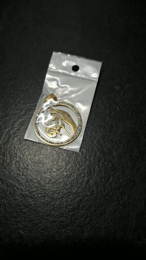 Paarden hanger met strass, Sieraden, Tassen en Uiterlijk, Kettingen, Ophalen of Verzenden