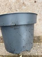 Kweek potjes partij 21 cm, Ophalen, Kunststof, Rond, Zo goed als nieuw