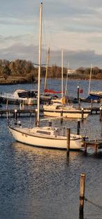 Kajuit zeilboot Pion 30, Gebruikt, Diesel, Ophalen of Verzenden, 9 tot 12 meter