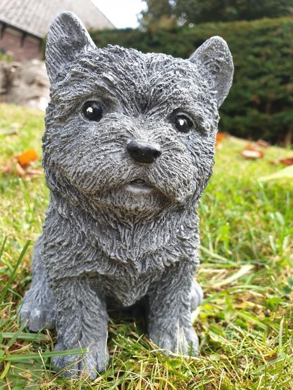 bouvier , hond van steen, Ophalen of Verzenden, Nieuw, Dier