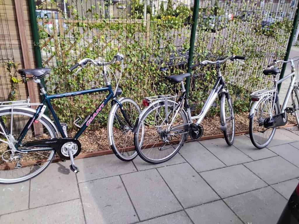 Fiets,  Fietsen, heren , dames, rij klaar, versnellingen., Ophalen, Minder dan 10 versnellingen, Vering, Batavus,  Gazelle, Koga miyata, Altra.