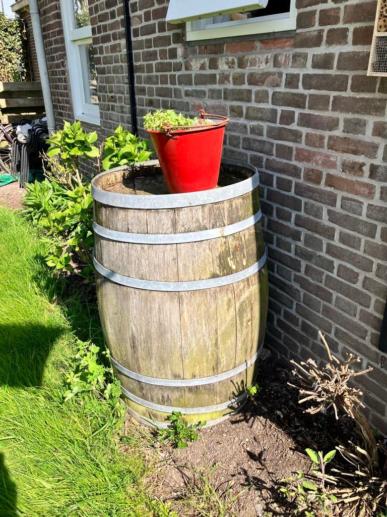 Oud wijnvat/regenton, Tuin en Terras, Regentonnen, 150 liter of meer, Ophalen, Gebruikt, Hout