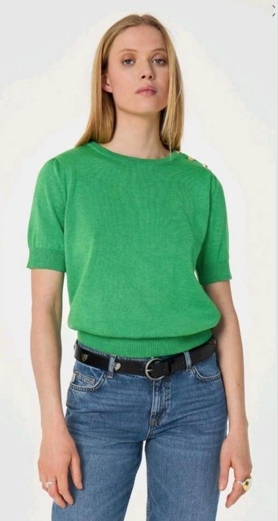 Fabienne Chapot Philou pullover/ trui maat M *nieuw*, Fabienne Chapot, Ophalen of Verzenden, Nieuw, Maat 38/40 (M)