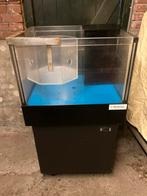 Kreeften en oestetbak, Ophalen of Verzenden, Zo goed als nieuw, Plant(en), Steen of Hout