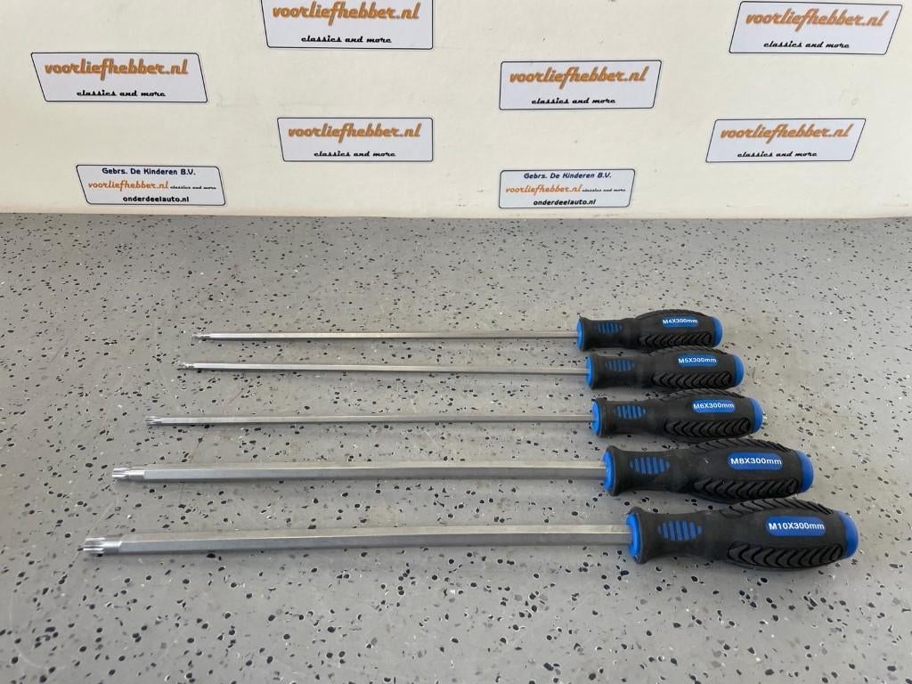 BGS, Schroevendraaierset, Veeltand, 5- delig, Nieuw, Ophalen of Verzenden, /, BGS