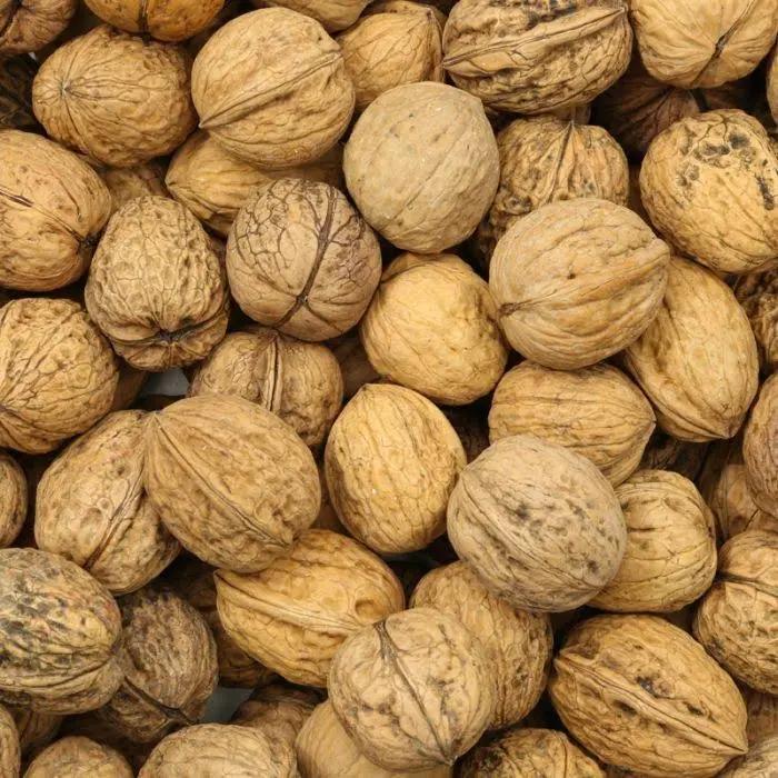 Zeeuwse walnoten, Ophalen of Verzenden