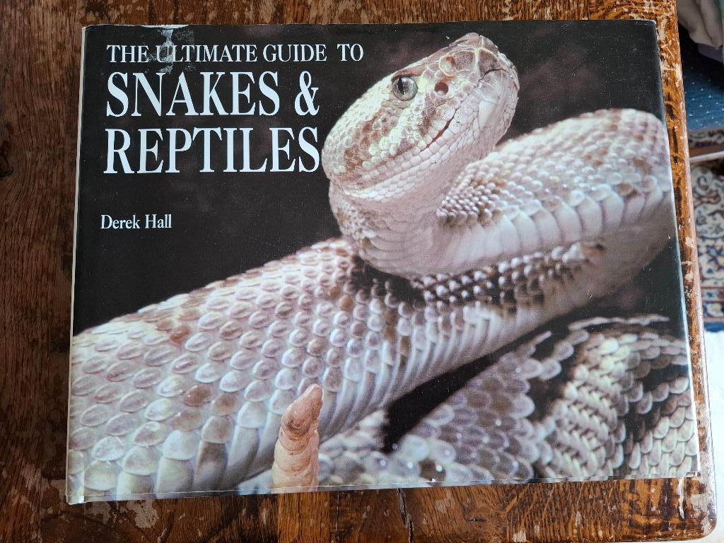 reptielen Snakes & reptiles Derek Hall, Dieren en Toebehoren, Reptielen en Amfibieën, 0 tot 2 jaar