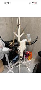 Buffelo schedel decoratie, Ophalen, Zo goed als nieuw