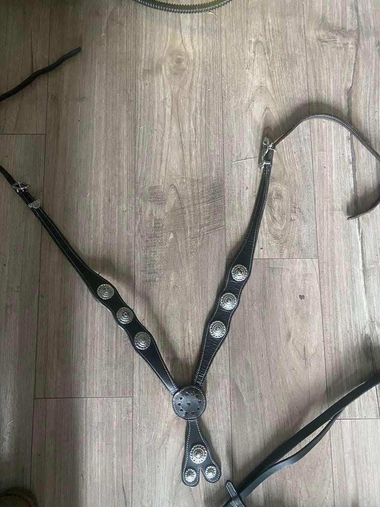 Barok tuig, Dieren en Toebehoren, Paarden en Pony's | Hoofdstellen en Tuigage, Ophalen of Verzenden, Gebruikt, Overige soorten