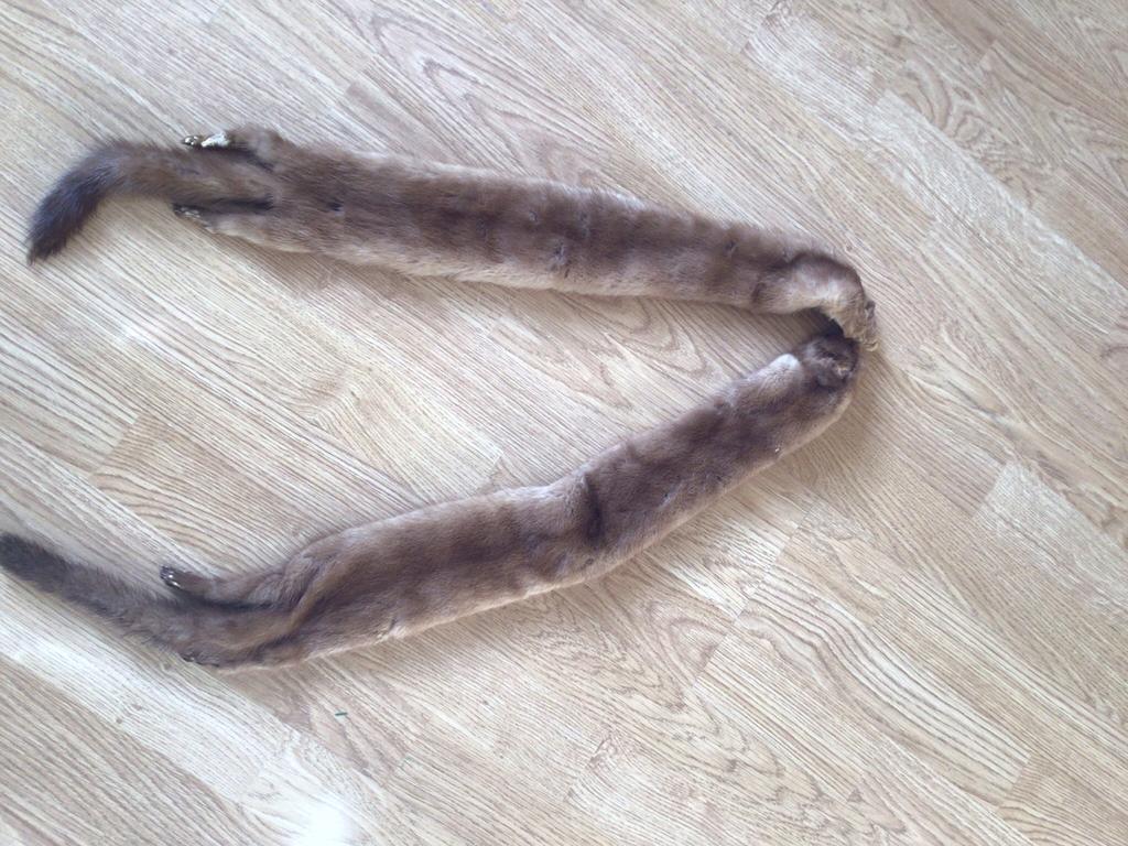 Vintage nerts stola/ sjaal, Ophalen of Verzenden