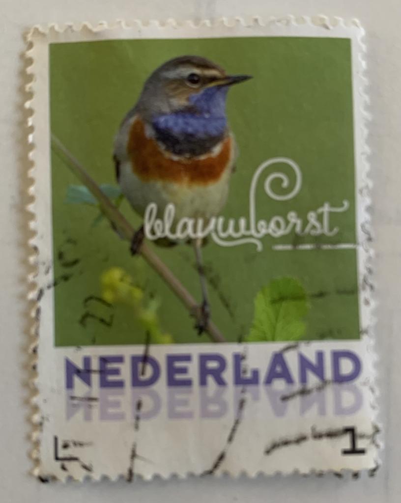 Persoonlijke, Blauwborst, Ophalen of Verzenden, Gestempeld