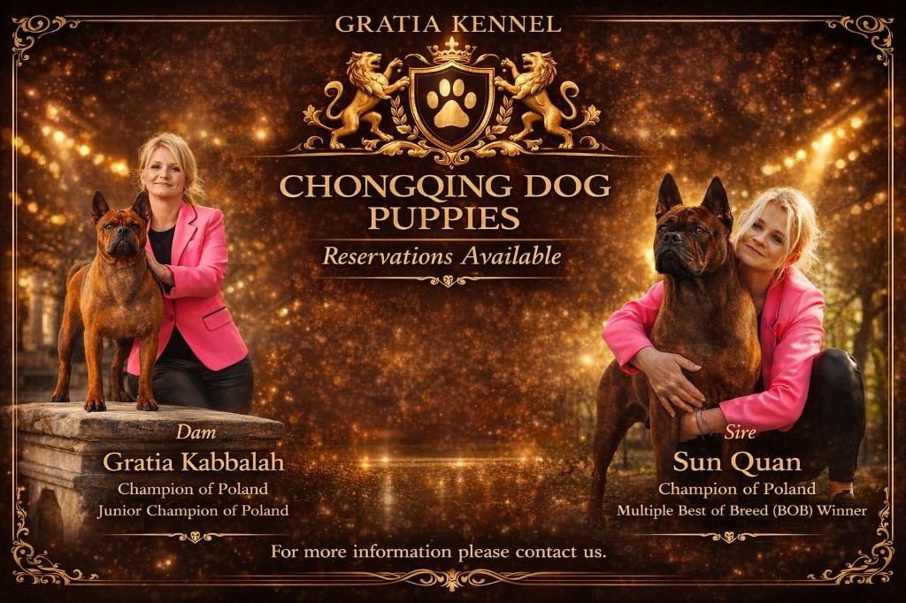 puppy's, Overige rassen, 8 tot 15 weken, Buitenland, Parvo