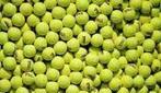 Gebruikte tennisballen Per stuk 0,30 euro Per 10 2,50 euro, Gebruikt, Ballen, L00, Ophalen