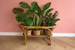 Vintage Rotan Plantenstandaard - 83cm, Tuin en Terras, Bloembakken en Plantenbakken, Ophalen, Gebruikt