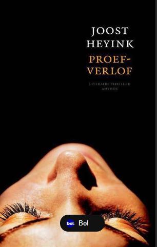 Joost Heyink - Proef-Verlof, Boeken, Thrillers, Zo goed als nieuw, Ophalen of Verzenden