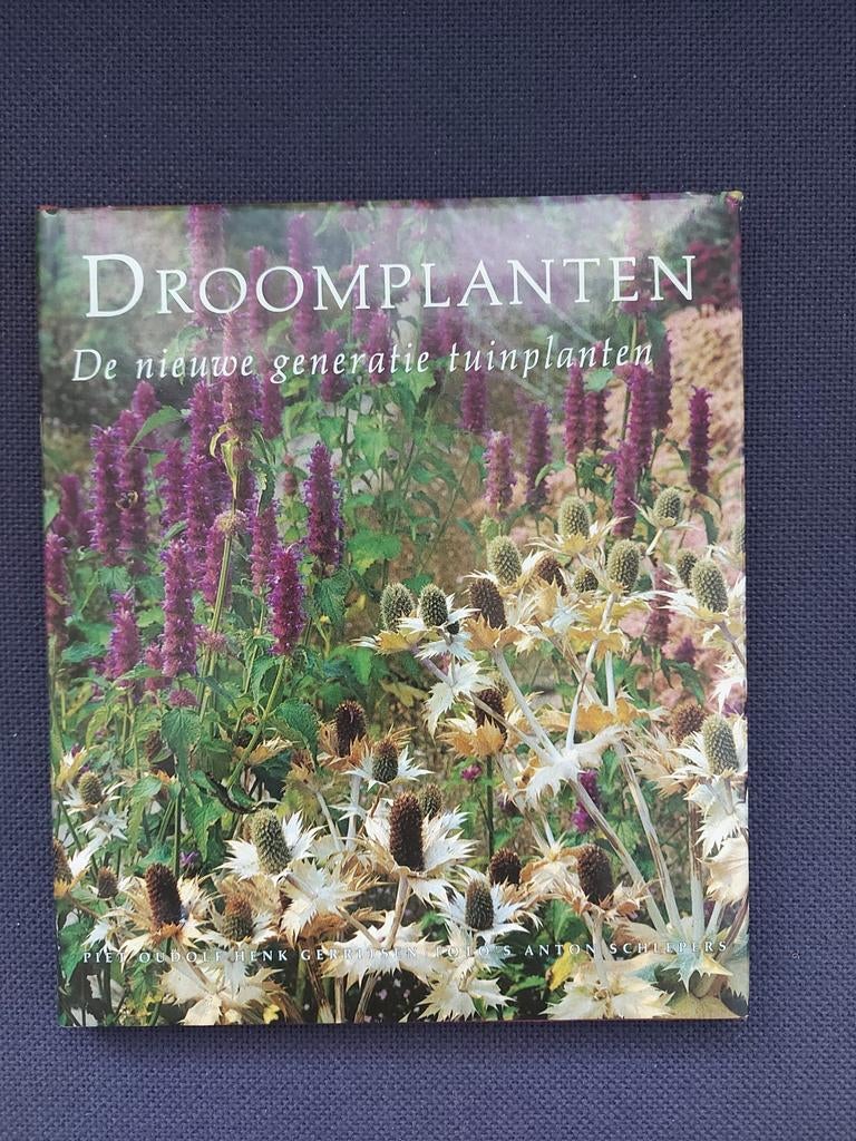 Droomplanten een nieuwe generatie tuinplanten Piet Oudolf, Boeken, Ophalen of Verzenden, Zo goed als nieuw, Tuinieren en Tuinplanten