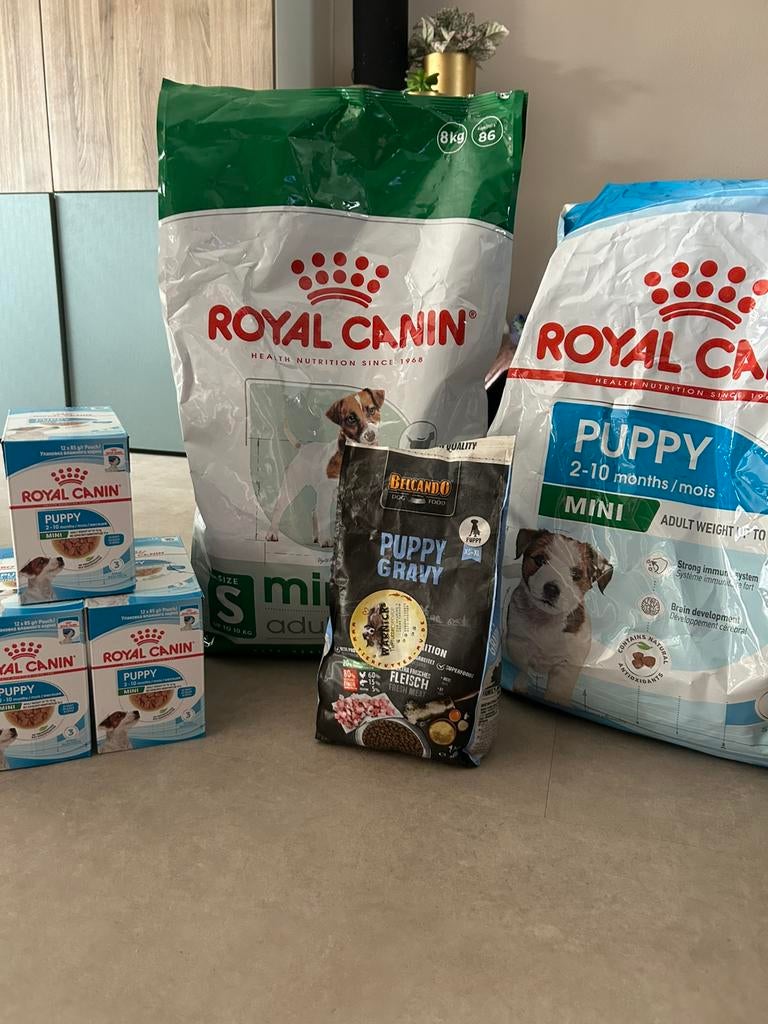 Honden voer, Dieren en Toebehoren, Ophalen of Verzenden, Hond