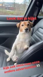 Skoda Scala 1.0 TSI Ambition CarPlay Airco Cruise, Voorwielaandrijving, Gebruikt, Euro 6, 116 pk