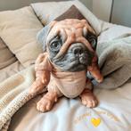 Reborn puppy Simon Laurens monthy, Verzamelen, Poppen, Ophalen of Verzenden, Nieuw, Pop, Levensecht of Reborn