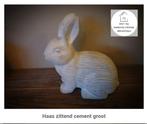 Haas zittend cement - konijn - pasen - voorjaar, Ophalen of Verzenden, Nieuw