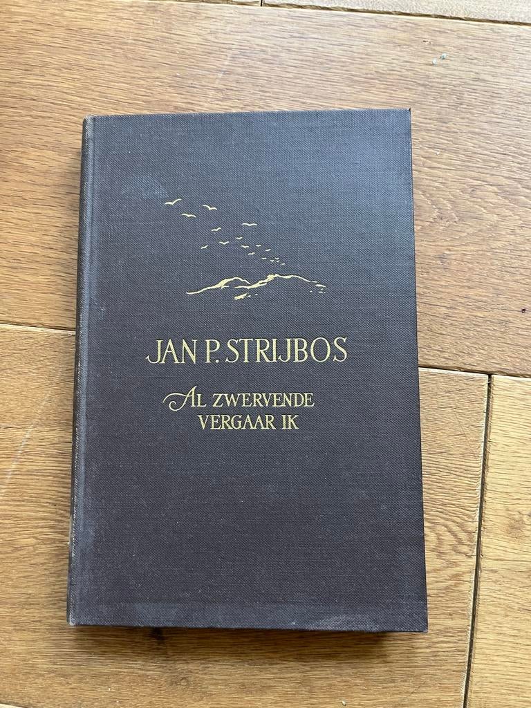Al zwervende vergaar ik - Jan P. Strijbos (1948), Europa, Ophalen of Verzenden, Reisgids of -boek, Gelezen