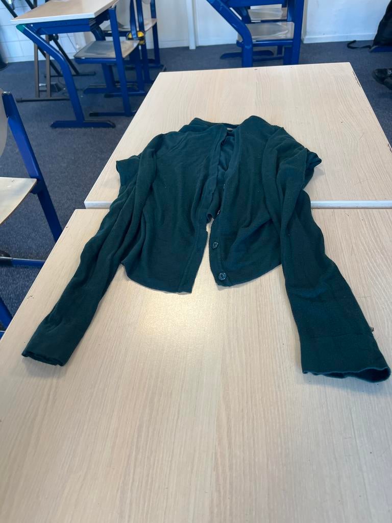 ZILCH Groen Vestje Maat M, Ophalen, Zo goed als nieuw, Maat 38/40 (M), Groen