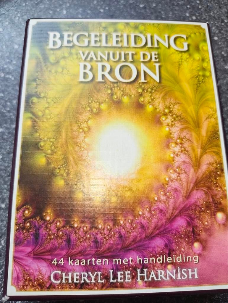 Begeleiding vanuit de Bron - Cheryl Lee Harnish, Spiritualiteit algemeen, Ophalen of Verzenden, Zo goed als nieuw, Cheryl Lee Harnish