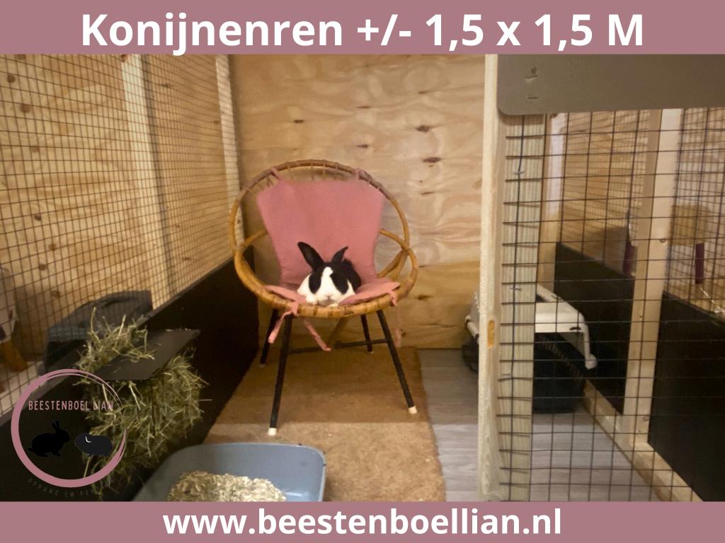 Konijnen pension  vakantieopvang  oppas  konijnenhotel, Meerdere dieren, Dwerg