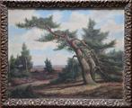 Jan de Boer (1877 - 1946) "De oude den" Veluwe, Antiek en Kunst, Ophalen of Verzenden