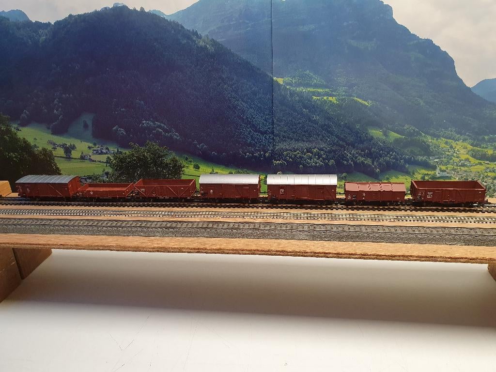 ROCO H0 Buurtspoorgoederentrein 7 wagons met kortkoppelingen, Gebruikt, Gelijkstroom of Wisselstroom, Wagon, Ophalen of Verzenden