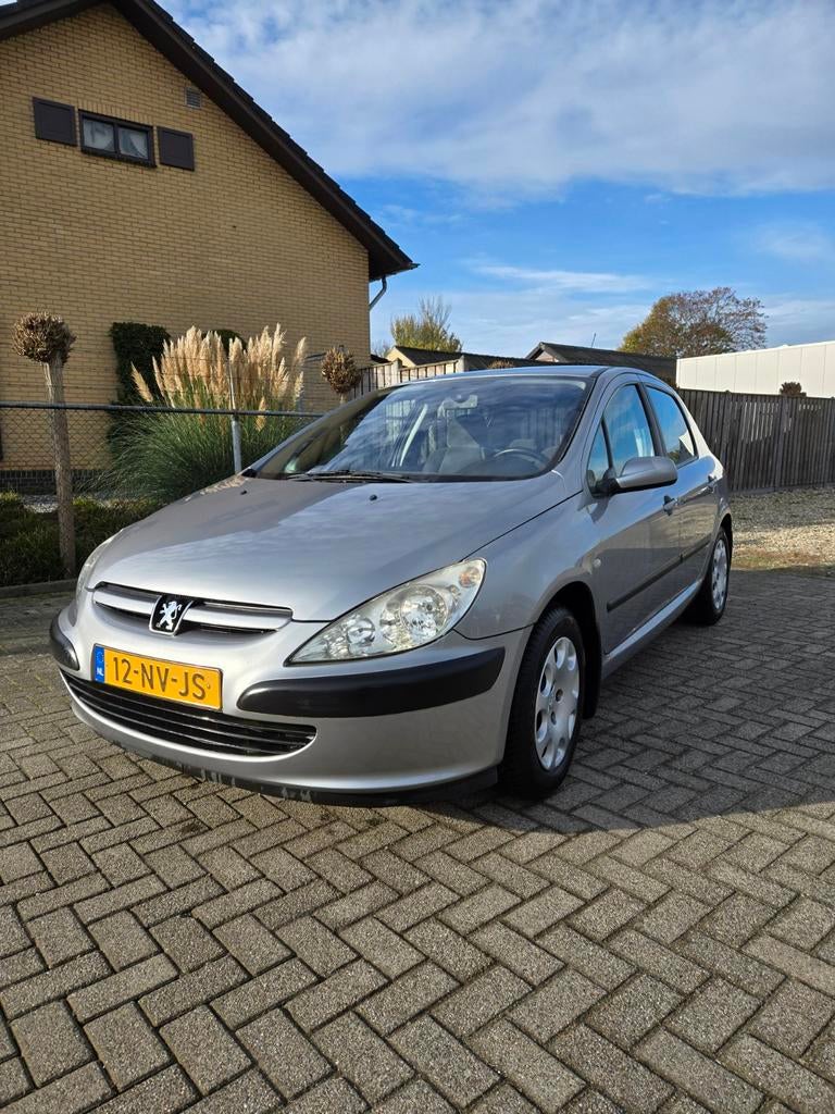 Peugeot 307 1.6 16v XT PACK, 4 cilinders, 1600 cc, Startonderbreker, Grijs