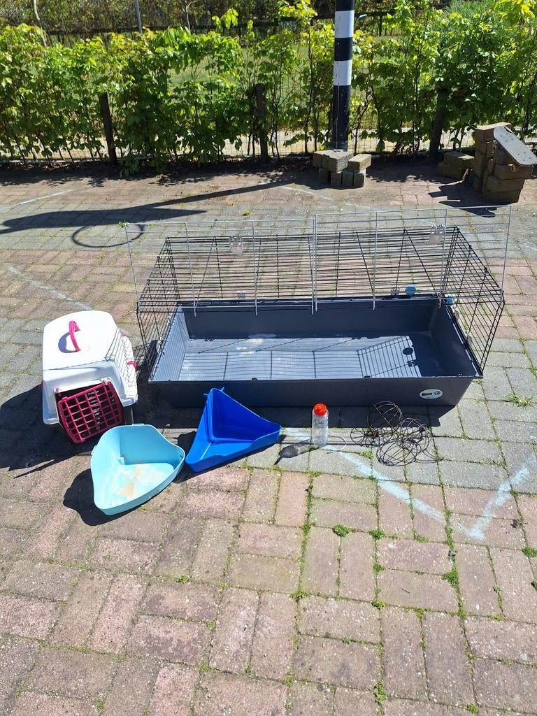 Grote konijnen/cavia binnenhok, Dieren en Toebehoren, Minder dan 60 cm, Kooi, Ophalen of Verzenden, Cavia