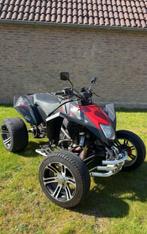 Sportieve, lichte quad EGLMOTOR 250CC