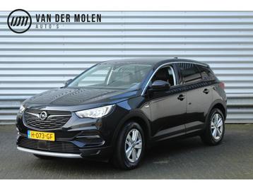 Opel Grandland X 1.2 Turbo 131pk Business Executive NL-Auto  beschikbaar voor biedingen